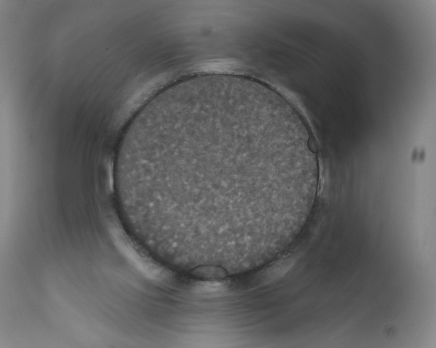 X0000111480061200908251011