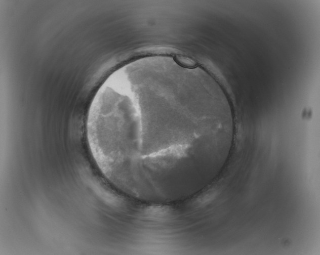 X0000111480063200908251011