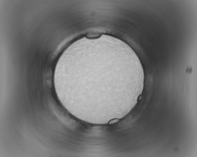 X0000111480064200908251012
