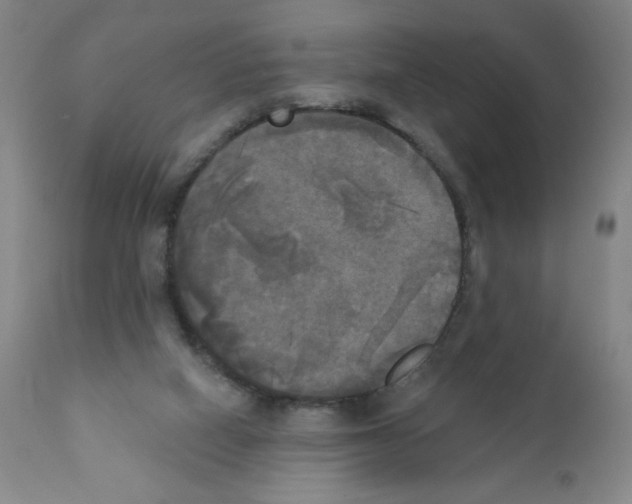 X0000111480066200908251012