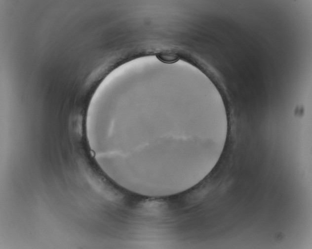 X0000111480067200908251012