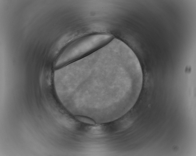 X0000111480068200908251012