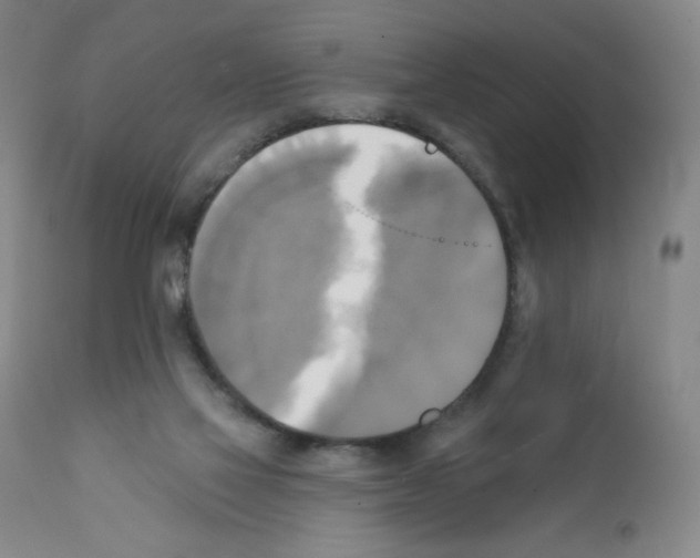 X0000111480069200908251012