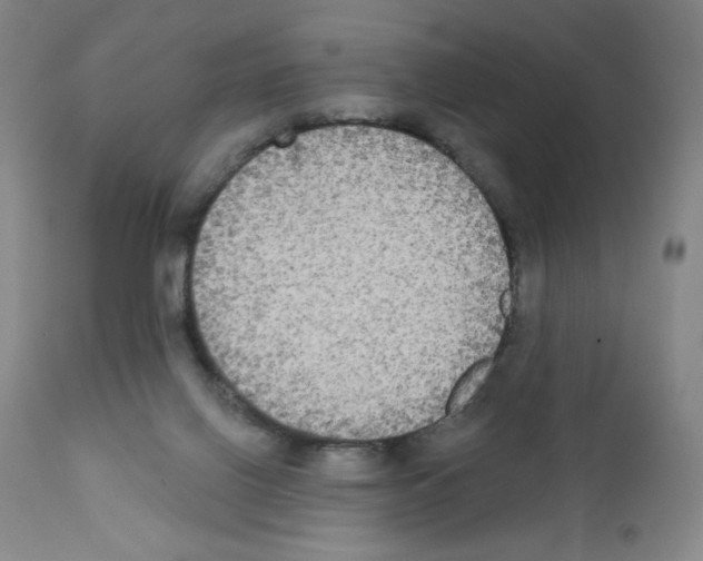 X0000111480070200908251012