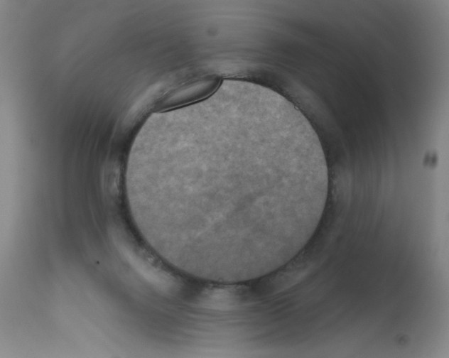 X0000111480072200908251012