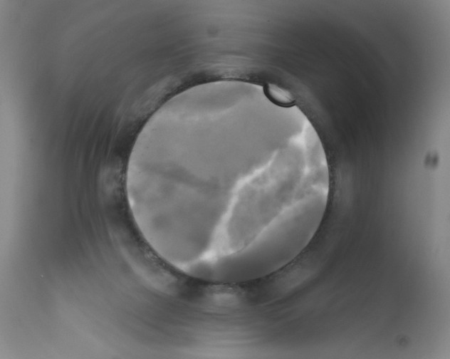 X0000111480073200908251012