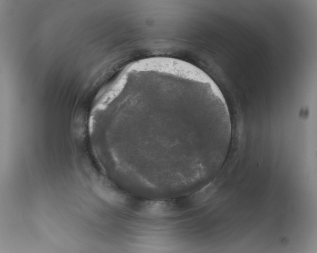 X0000111480074200908251012