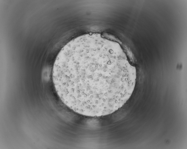 X0000111480075200908251012