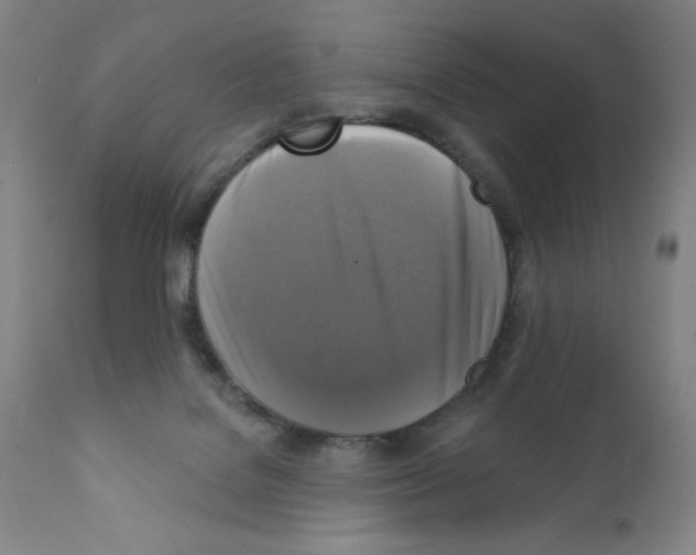 X0000111480076200908251012