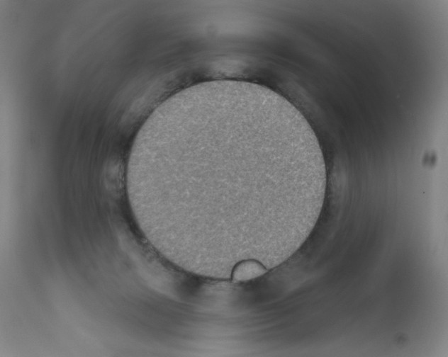 X0000111480079200908251012