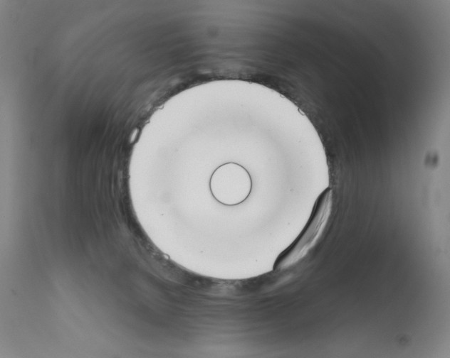 X0000111480080200908251012