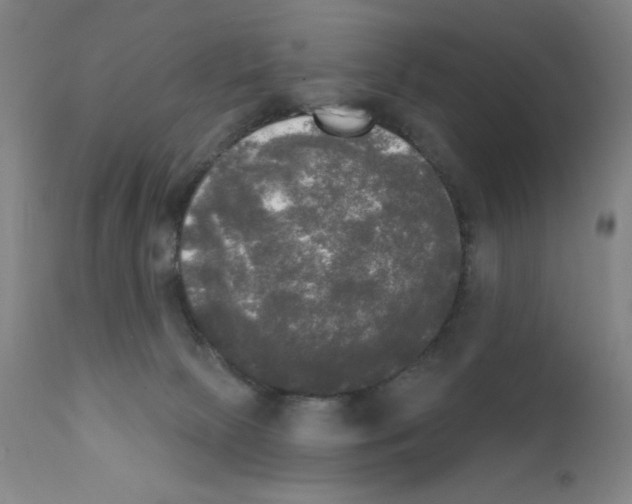 X0000111480081200908251012