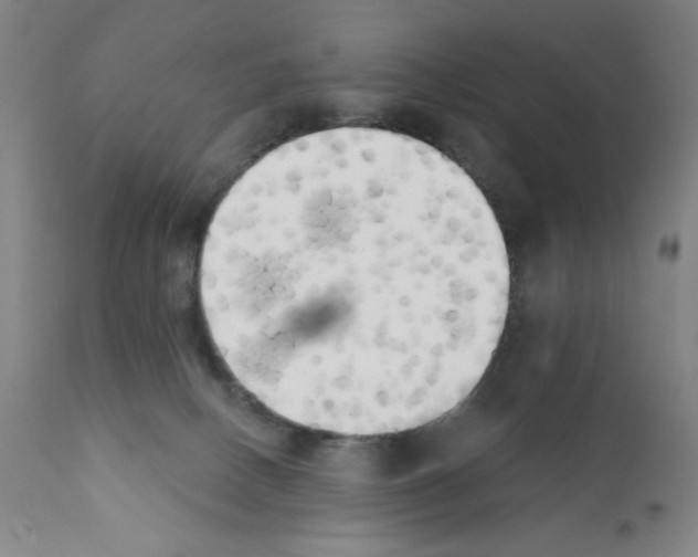 X0000111480082200908251012
