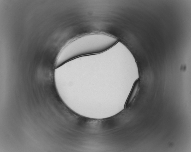 X0000111480084200908251012