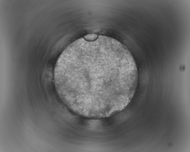 X0000111480085200908251012
