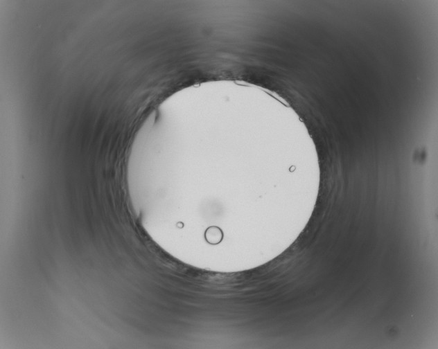X0000111480088200908251012
