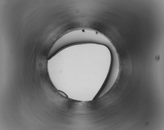 X0000111480092200908251012