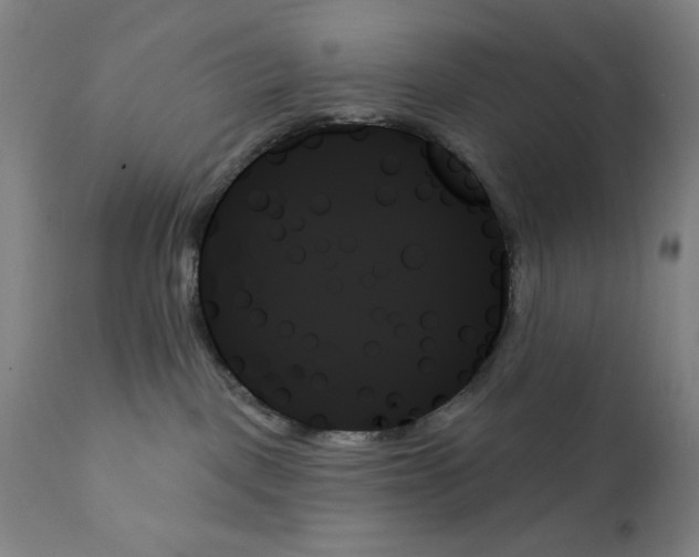 X0000111480093200908251012