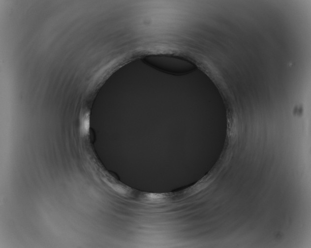 X0000111480095200908251012
