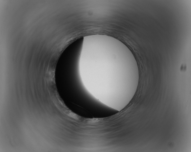 X0000111480096200908251012