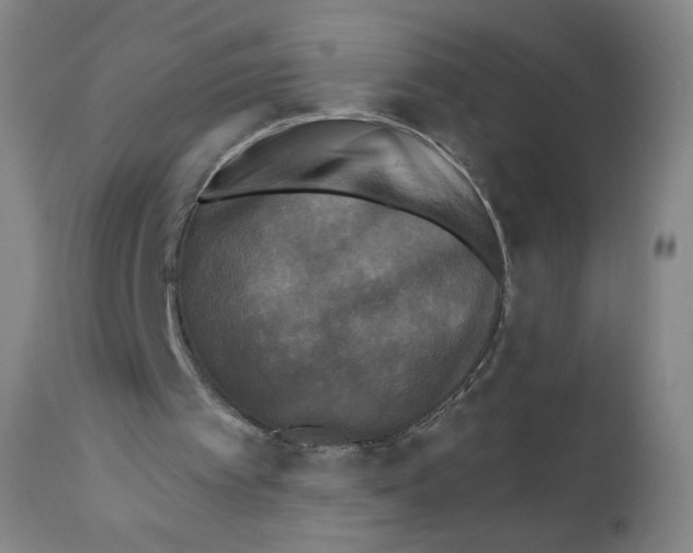 X0000111480097200908251011