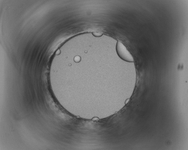 X0000111480098200908251011