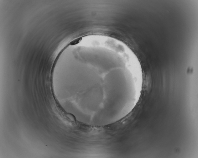 X0000111480099200908251011