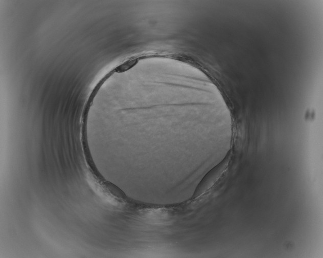 X0000111480100200908251011