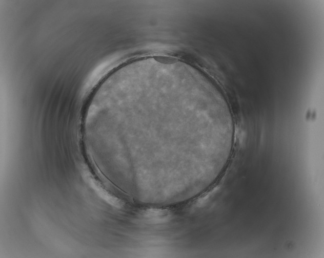 X0000111480101200908251011