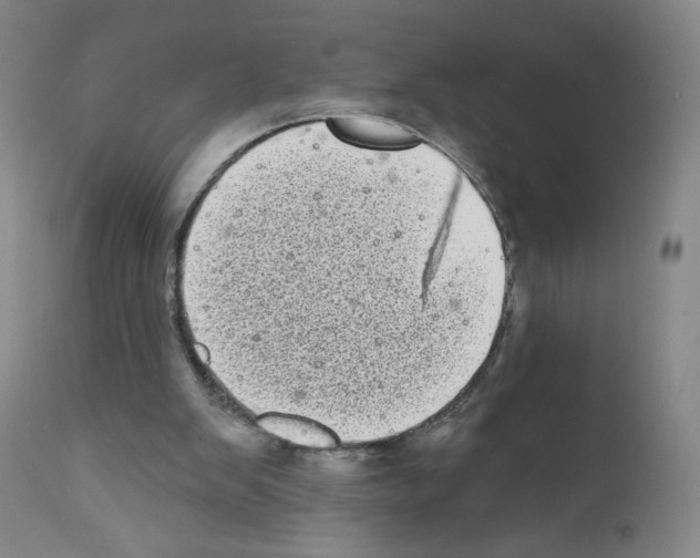 X0000111480103200908251011
