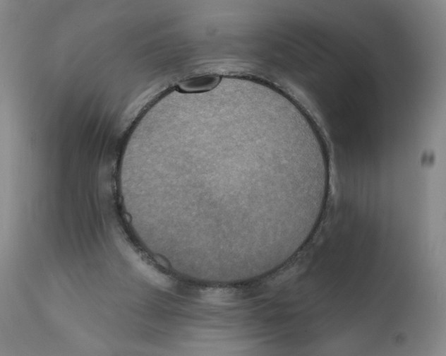 X0000111480105200908251011