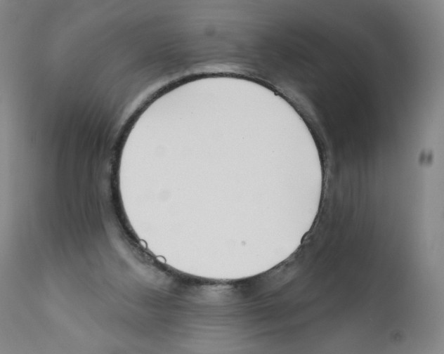 X0000111480108200908251011