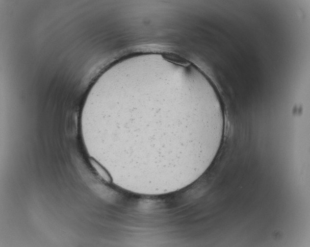 X0000111480109200908251011
