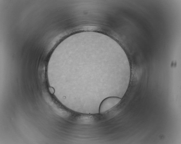 X0000111480110200908251011