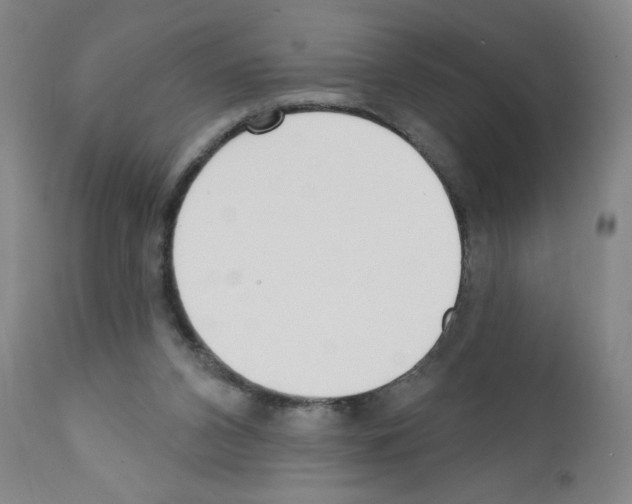 X0000111480112200908251011