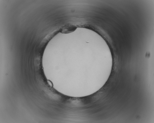 X0000111480113200908251011