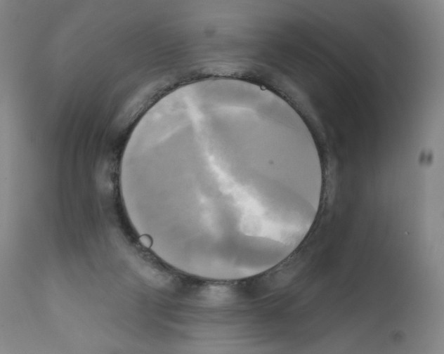 X0000111480114200908251011