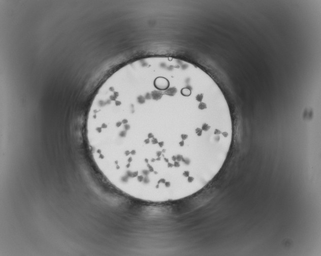 X0000111480115200908251011