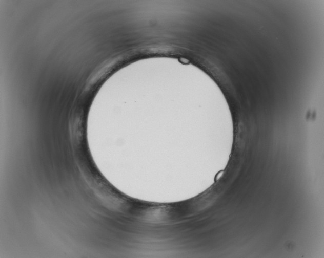 X0000111480116200908251011