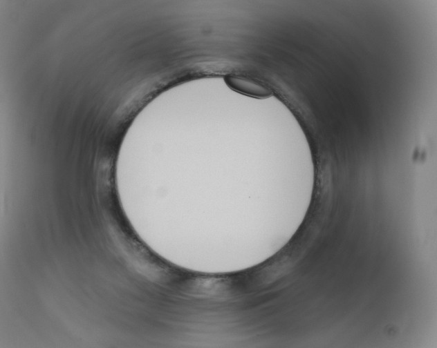 X0000111480117200908251011