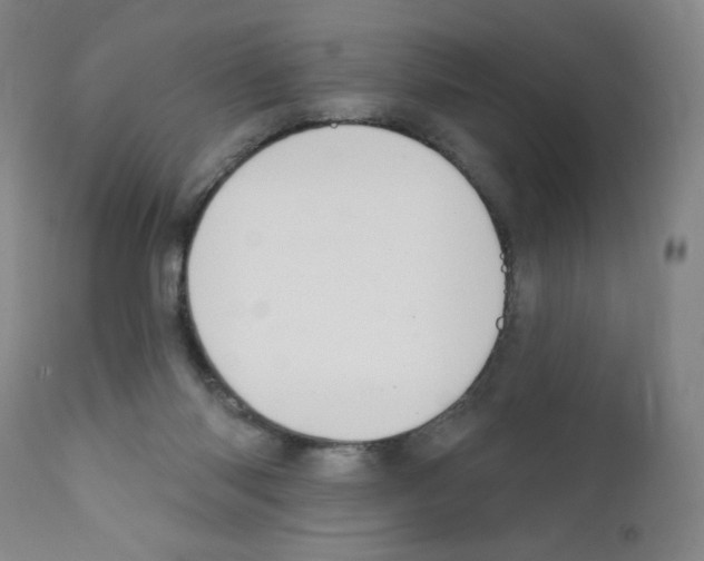 X0000111480118200908251011