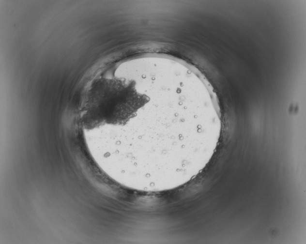 X0000111480119200908251011