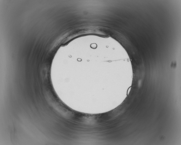 X0000111480120200908251011