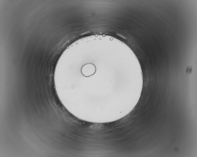 X0000111480124200908251011