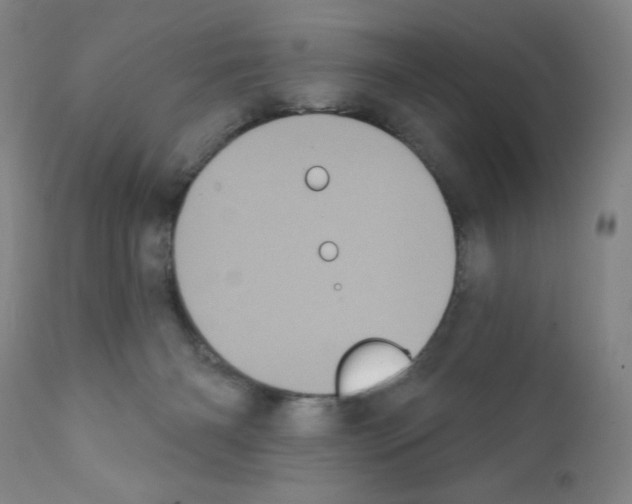 X0000111480126200908251011