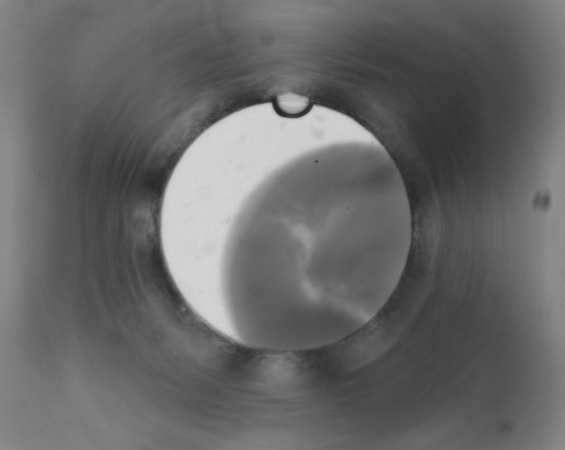 X0000111480127200908251011