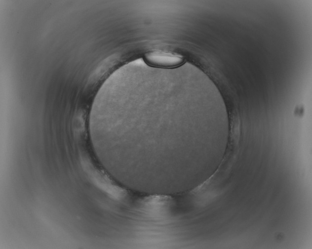 X0000111480128200908251011