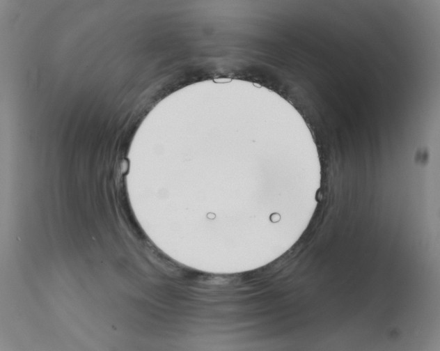 X0000111480129200908251011