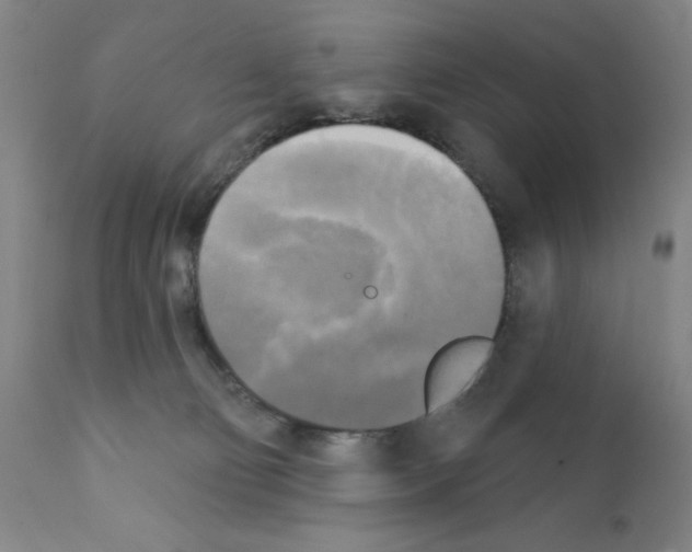 X0000111480130200908251011