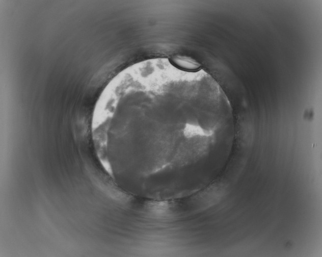X0000111480131200908251011